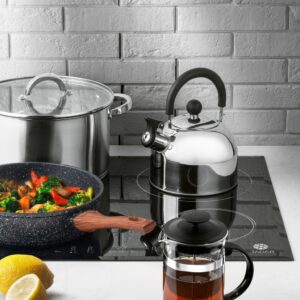 Czajnik Gas Induckja Camping tradycyjny stalowy Tadar 2 l Srebrny