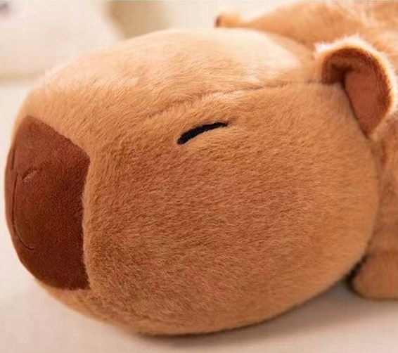 KAPIBARA MASKOTKA 2w1 PLUSZAK PRZYTULANKA PANDA NIESPODZIANKA 50 cm - obrazek 2